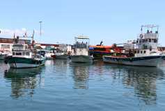 Süleymanpaşa Su Ürünleri Kooperatifi Başkanı İbrahim Pehlivanoğlu ve derneğimiz desteği ile düzenlenen yaza merhaba tekne gezisinden sonra balık ekmek ikramı yapıldı...